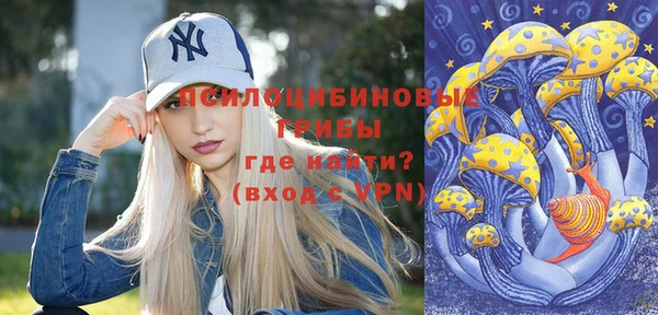 бутират Заводоуковск